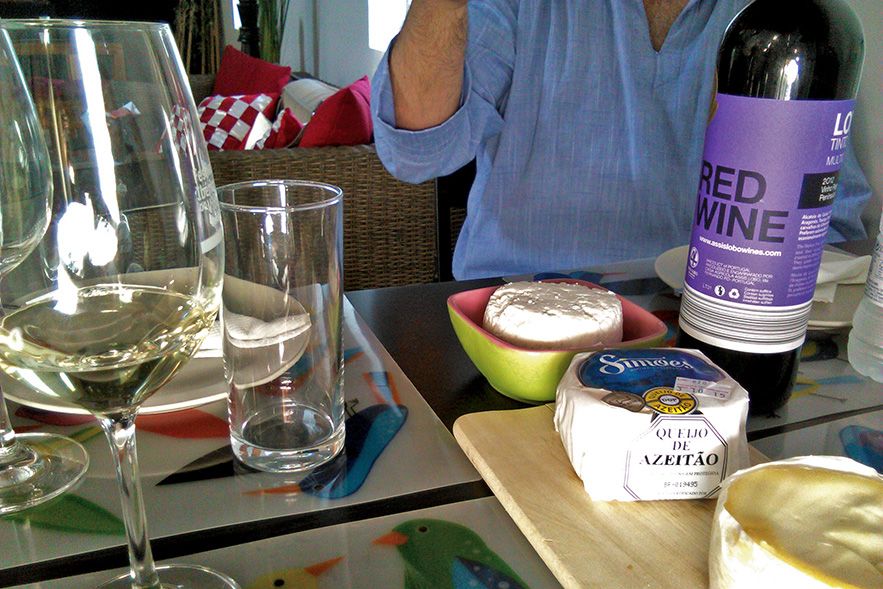 From Lisbon: Private Scenic Wine Tour in Arrabida - Who should book this Arrábida day trip