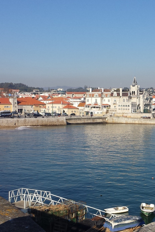 From Lisbon: Private Sintra Sightseeing Tour - Who should book this private Sintra and coast tour