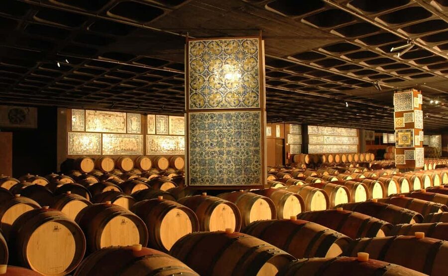 From Lisbon: Serra da Arrábida, Sesimbra, and Setúbal Wines - Key Things That Make This Day Trip Worth It