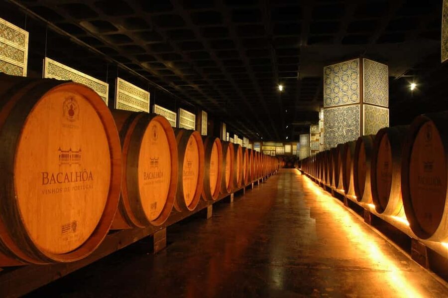 From Lisbon: Serra da Arrábida, Sesimbra, and Setúbal Wines - Bacalhôa Winery Visits and Tastings You Can Actually Use