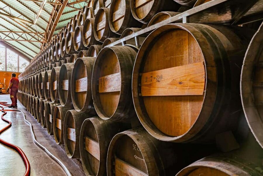 From Lisbon: Serra da Arrábida, Sesimbra, and Setúbal Wines - How the Day Flows, Stop by Stop