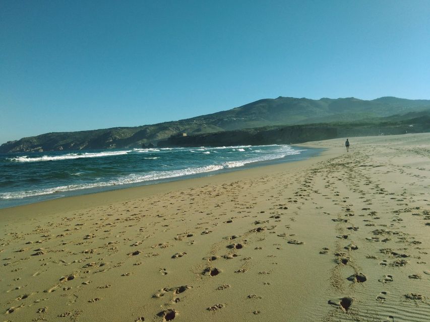 From Lisbon: Sintra and Cascais Natural Park Private Tour - Sintra Village free time: where to snack, browse, and reset