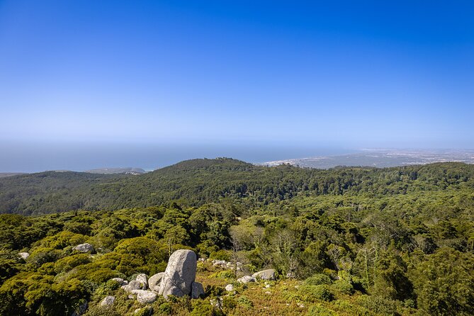 From Lisbon: Sintra, Pena Palace and Regaleira - Meeting at Time Out Market Lisbon, then heading to Sintra