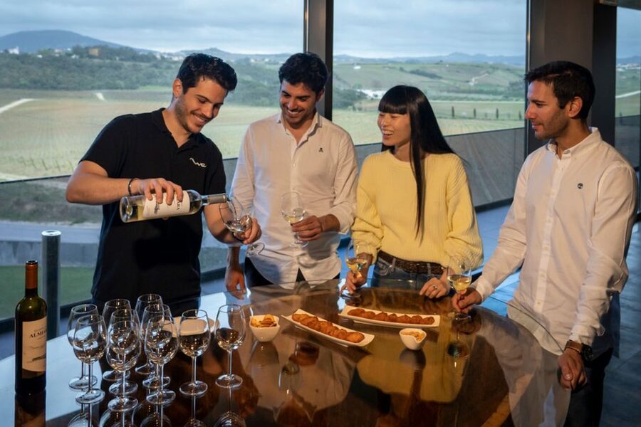 From Lisbon: Sintra & Pena Palace Day Trip with Wine Tasting - Ancient lagar to modern cellar: the winemaking story you can see