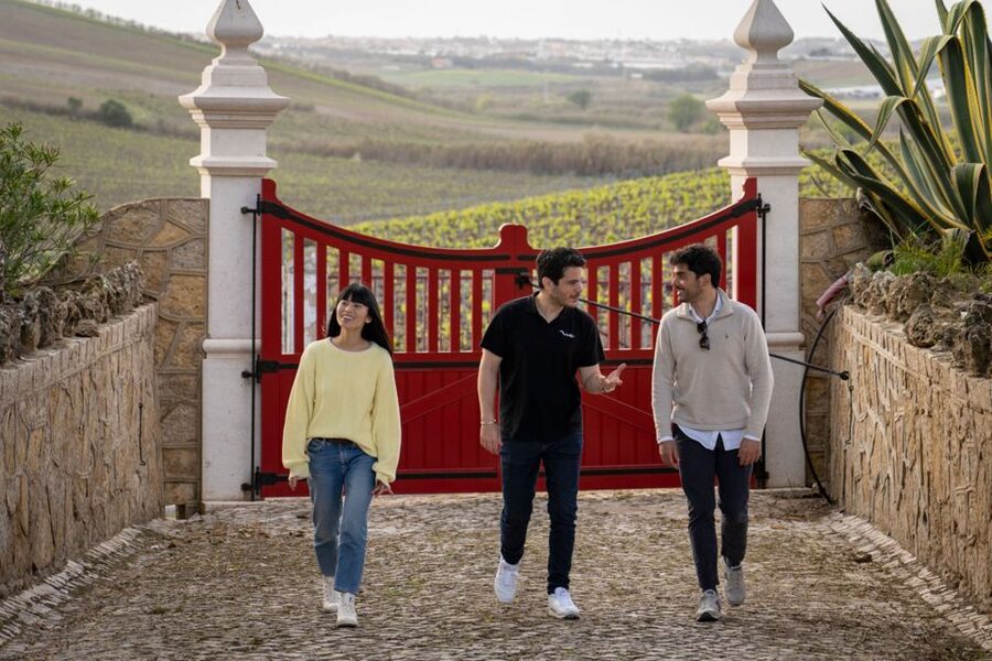 From Lisbon: Sintra & Pena Palace Day Trip with Wine Tasting - Who this tour suits best