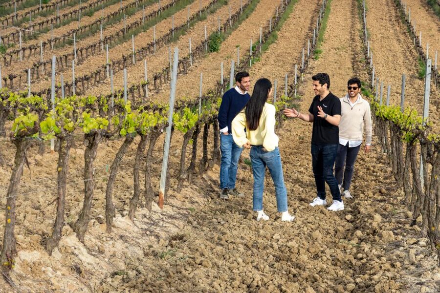 From Lisbon: Sintra & Pena Palace Day Trip with Wine Tasting - Sintra and UNESCO context, without the textbook tone