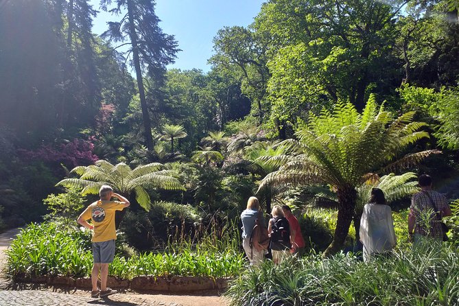 From Lisbon: Sintra's Historical and Natural Gems - Quinta da Regaleira: grottoes, fountains, and the Initiation Well moment