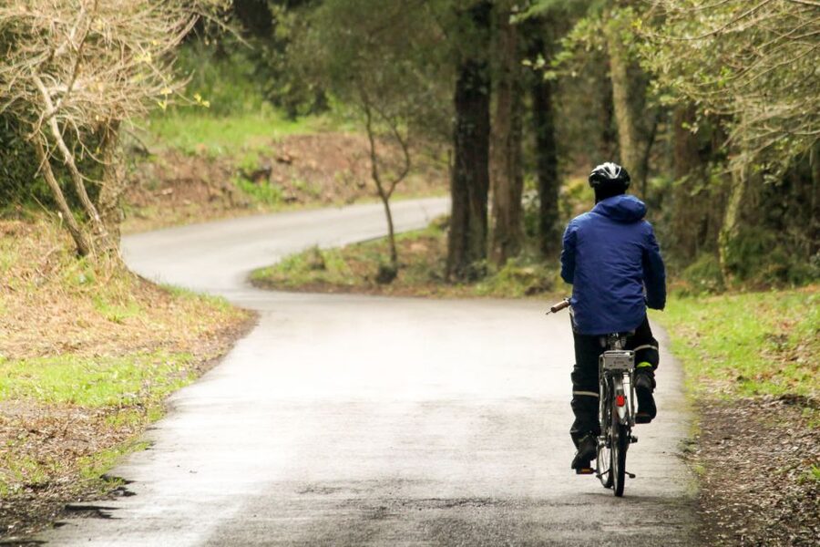 From Lisbon: Sintra to Cascais Full-Day Guided E-Bike Tour - The day ends in Cascais, with a Guincho alternative for wild-coast lovers