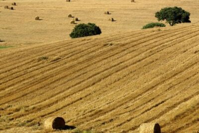 From Lisbon to Alentejo: Évora and Megaliths Full-Day Group Tour
