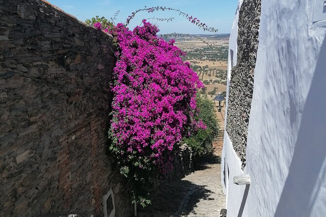 FULL DAY Private Tour to Sintra, Queluz, Cabo da Roca, and Cascais - Key Things That Make This Tour Worth Your Time