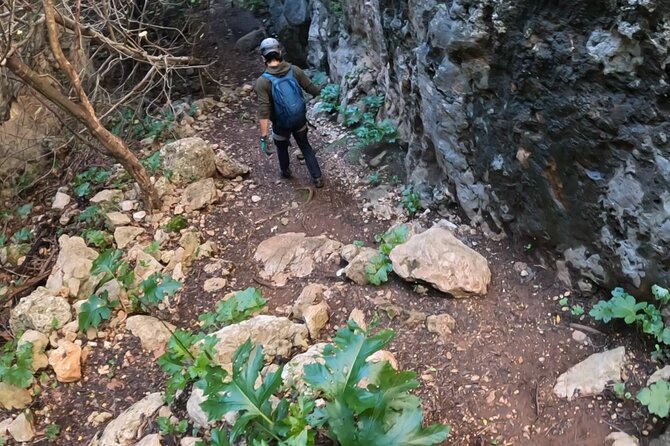 Full Day Rock Climb Adventure Trail from Lisbon with Lunch - Key highlights that make this Lisbon adventure hit different