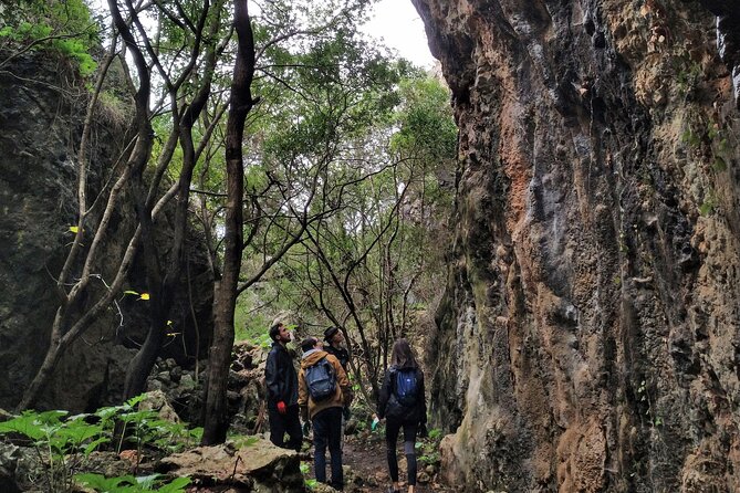 Full Day Rock Climb Adventure Trail from Lisbon with Lunch - Arrabida Natural Park: the cliffs that turn Lisbon into an outdoors day