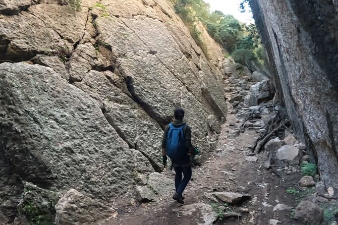 Full Day Rock Climb Adventure Trail from Lisbon with Lunch - Guides, equipment, and safety basics you should watch for