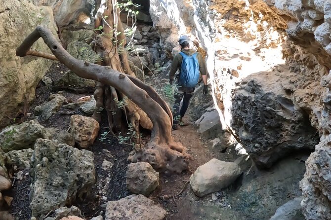 Full Day Rock Climb Adventure Trail from Lisbon with Lunch - Price and value: is $84.10 a smart use of your Lisbon time?