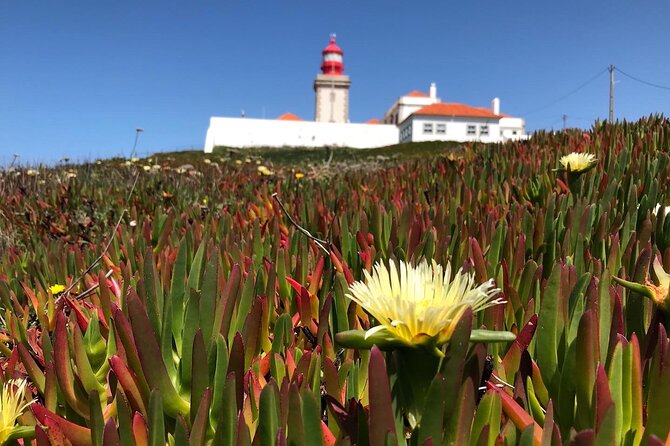 Full Day Tour: Sintra, Pena Palace, Cabo da Roca, Cascais - Logistics that matter: pacing, walking, and meeting your group