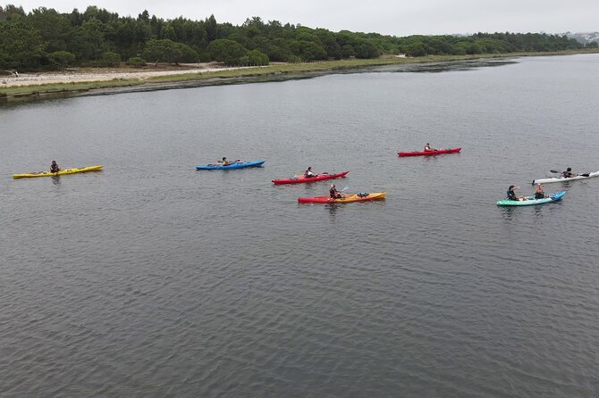 Guided Kayak Tours in the Óbidos lagoon - Stop One on Lagoa de Óbidos: The Expedition Portion