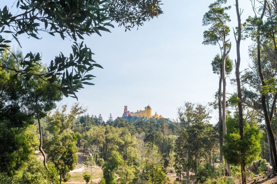 Half-Day Sintra Tour from Lisbon with Transfers - Sintra Village: Where You Recharge Between Palaces