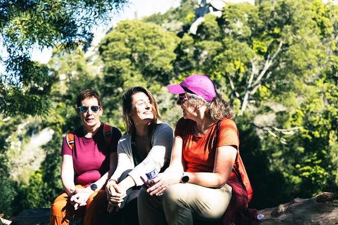 Hike in Sintra: Pena Palace, Moorish Castle, Quinta da Regaleira - Walking from Moorish Castle to Pena Palace: short transit, big payoff