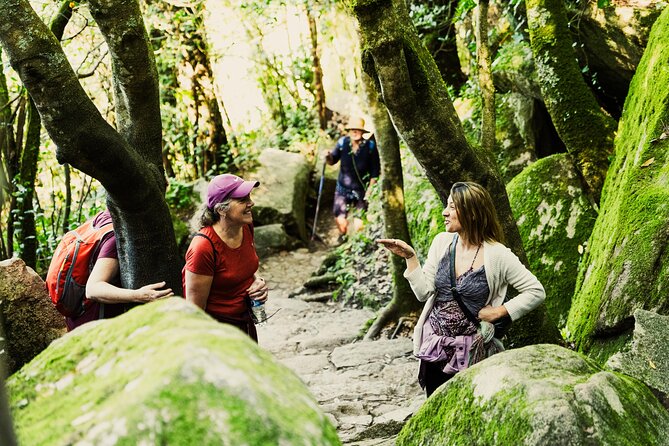 Hike in Sintra: Pena Palace, Moorish Castle, Quinta da Regaleira - Sintra’s historical center: a quick warm-up, not a deep lecture