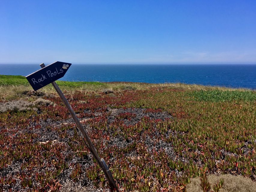 Hiking Tour Along the West Coastline - Key things I’d aim for on this hike