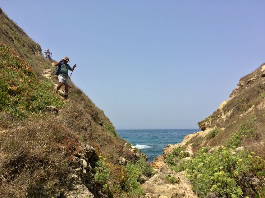 Hiking Tour Along the West Coastline - Stop by stop: how the route keeps the hike fun