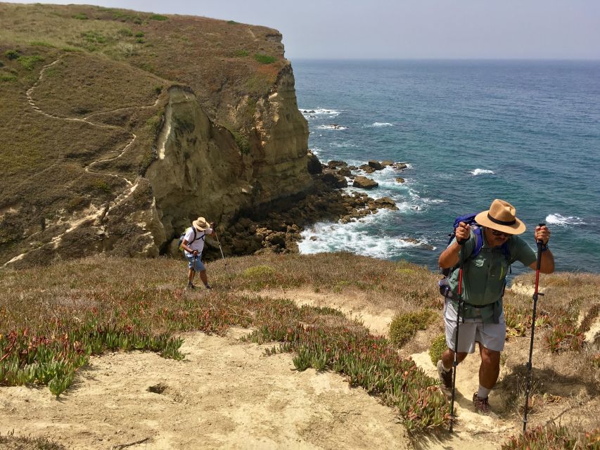 Hiking Tour Along the West Coastline - Arrábida Natural Park vibes: plants, wildlife, and real coastal ecology