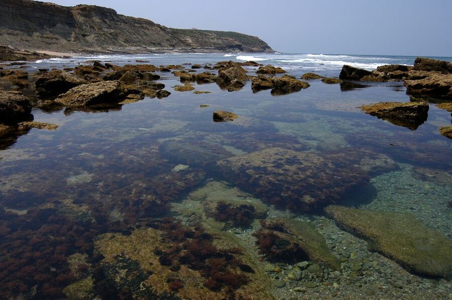 Hiking Tour Along the West Coastline - Natural pools and wild beaches: where you might want a bathing suit