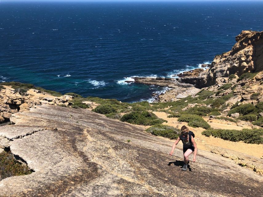 Hiking Tour Along the West Coastline - Pace, difficulty, and what to pack (so you don’t suffer)