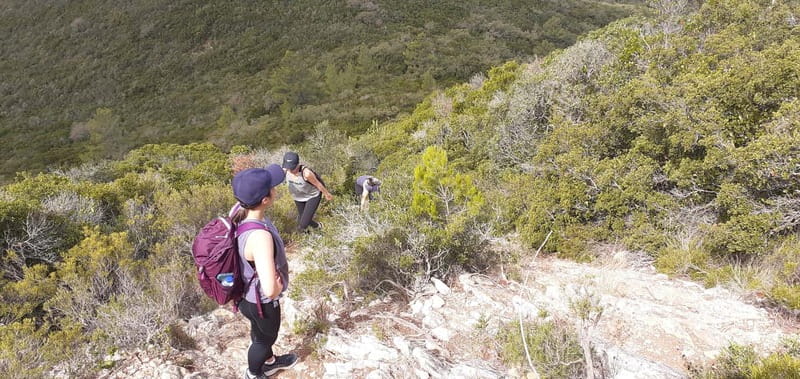 Hiking Tour to the highest point of Arrábida Mountain - Languages and Group Style: Private, Guided, and Clear