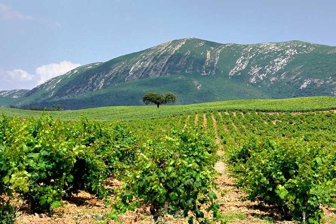 Hiking Tour to the highest point of Arrábida Mountain - The Arrábida Natural Park Portion: Photo Stops and a Real Hike