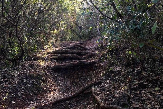 Hiking Tour to the highest point of Arrábida Mountain - Difficulty Level: Know What You’re Signing Up For