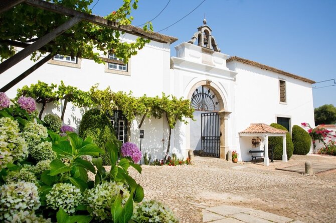 Historic Winery Tour and Tasting in Bombarral - Key moments that make this tour worth your time