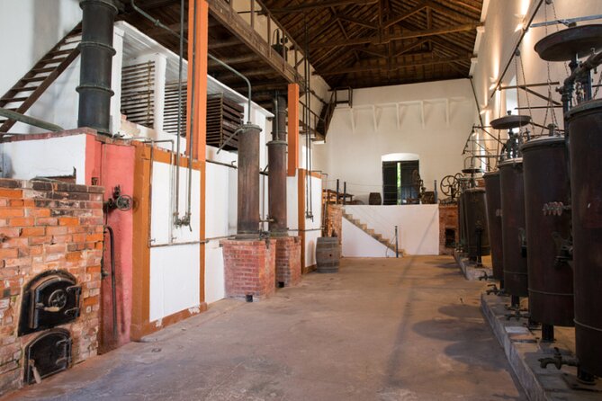 Historic Winery Tour and Tasting in Bombarral - Quinta do Sanguinhal: stepping into a real working winery