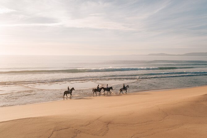 Horse Riding on the Beach with private transfer from Lisbon - Why Comporta Feels Different Than Most Lisbon Day Trips