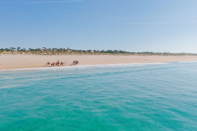 Horse Riding on the Beach with private transfer from Lisbon - Tips That Make the Day Smoother (and More Comfortable)