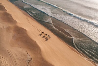 Horse Riding on the Beach with private transfer from Lisbon