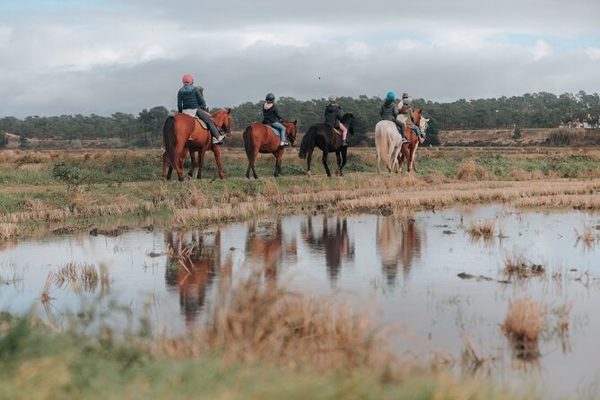 Horse Riding on the Beach with private transfer from Lisbon - Who This Horseback Ride Is Best For