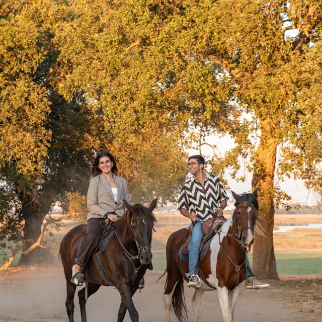 Horseback Riding On The Beach At Sunset - Key things to know before you ride