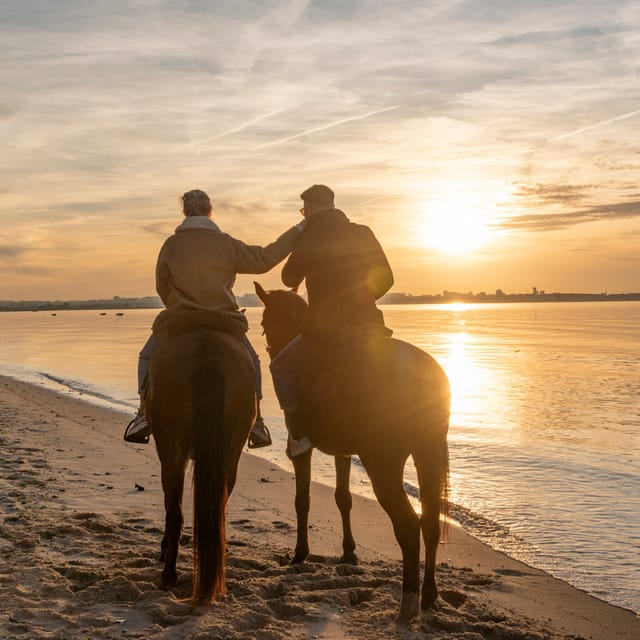 Horseback Riding On The Beach At Sunset - Tagus River beach ride: white sand, shells, and a slower pace
