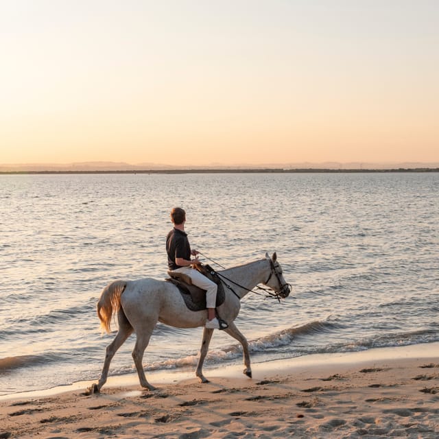Horseback Riding On The Beach At Sunset - Sunset reality check: why your view can vary with tide and direction