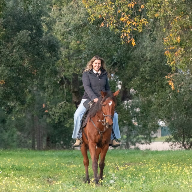 Horseback Riding On The Beach At Sunset - Price and value: what $153 buys you, and how to judge if it is worth it