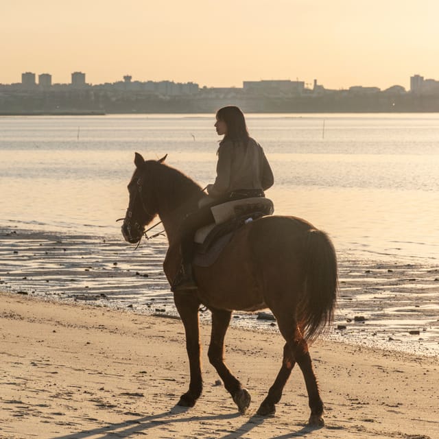 Horseback Riding On The Beach At Sunset - Who this ride suits best (and who should think twice)