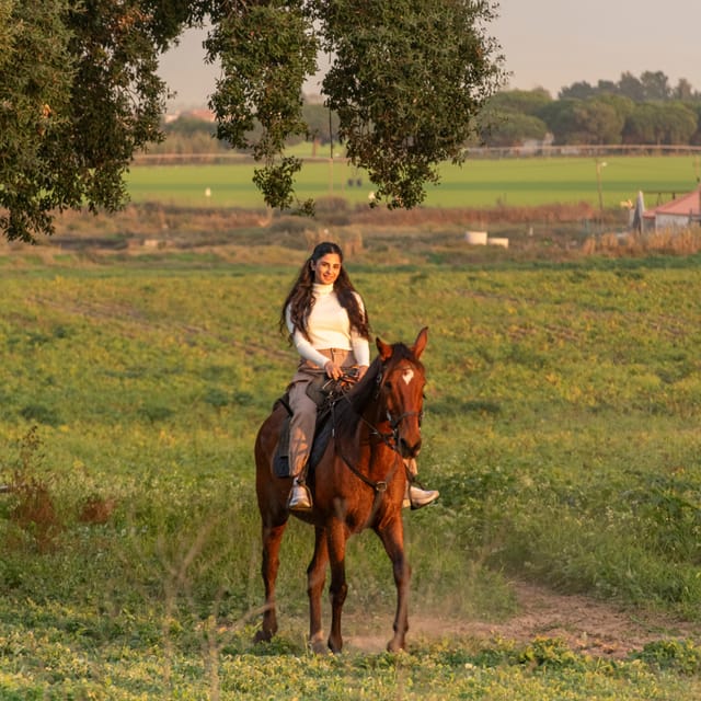 Horseback Riding On The Beach At Sunset - Should you book this Tagus sunset horseback ride?