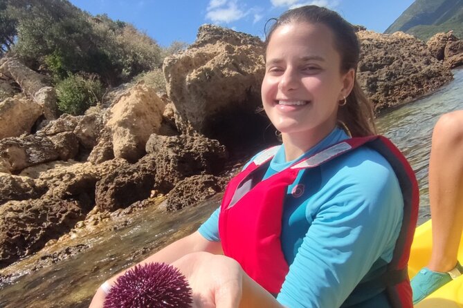 Kayak and Snorkeling Adventure in Lisbon - Snorkeling in the Atlantic: Kelp Forest Life and Octopus Chances