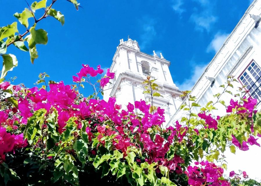 Lisbon: 7 Hills Panoramic Guided Tour by E-Bike - 4 Hours, Up to 10 People: How Much Value You Get for $53