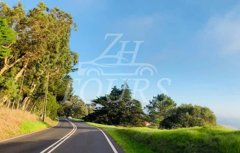 lisbon: algarve, benagil cave, portimao, Lagos private tour. - Lagos and beach time: breaks that keep the day from feeling rushed