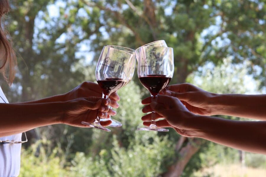 Lisbon: Arrábida and Sesimbra Day Trip with Wine - Start With the Big-Bridge Route From Lisbon
