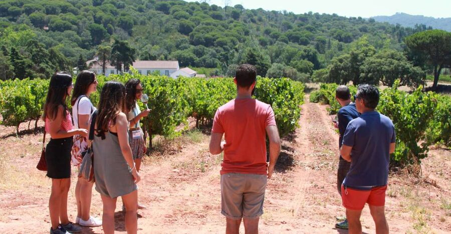 Lisbon: Arrábida and Sesimbra Day Trip with Wine - Azeitão and José Maria da Fonseca: Guided Cellars Plus Two Local Varieties