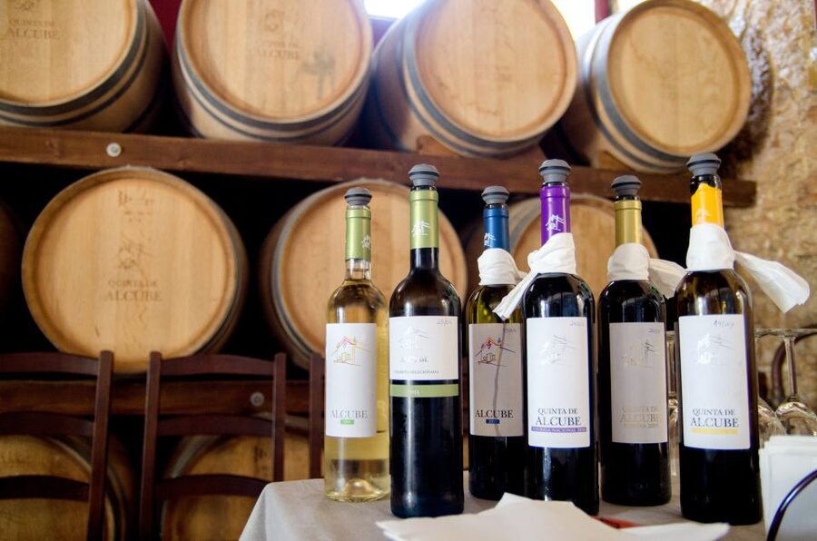 Lisbon: Arrábida and Sesimbra Day Trip with Wine - The Real Quality Marker: Guides Who Keep the Day Moving
