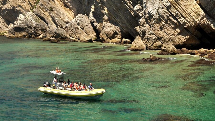 Lisbon: Arrábida Natural Park Dolphin Watching Boat Tour - Tips to Make Your Dolphin Search More Comfortable